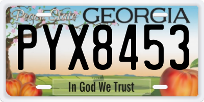 GA license plate PYX8453