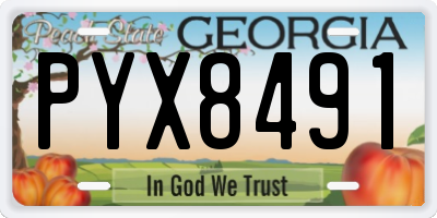 GA license plate PYX8491