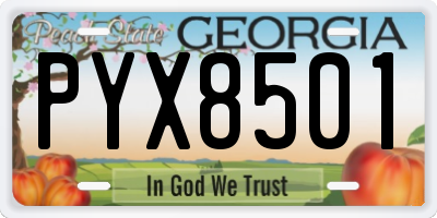 GA license plate PYX8501
