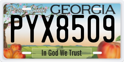 GA license plate PYX8509
