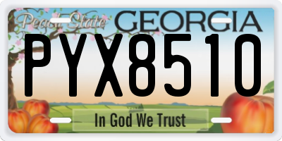 GA license plate PYX8510