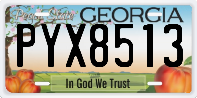 GA license plate PYX8513