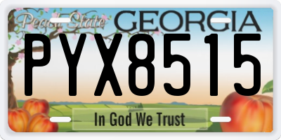 GA license plate PYX8515