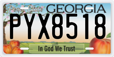 GA license plate PYX8518