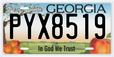 GA license plate PYX8519