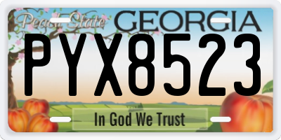 GA license plate PYX8523
