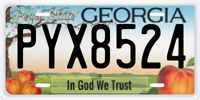 GA license plate PYX8524