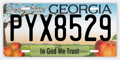GA license plate PYX8529