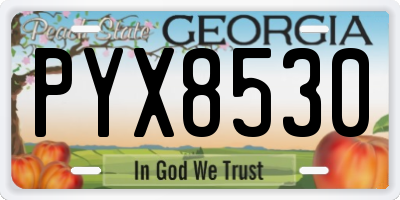 GA license plate PYX8530
