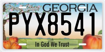 GA license plate PYX8541