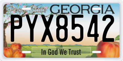 GA license plate PYX8542