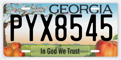 GA license plate PYX8545