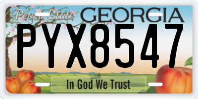 GA license plate PYX8547