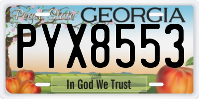 GA license plate PYX8553