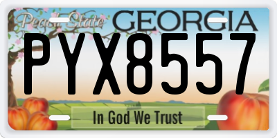 GA license plate PYX8557