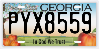 GA license plate PYX8559