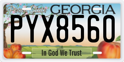 GA license plate PYX8560