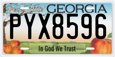 GA license plate PYX8596