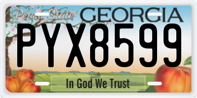 GA license plate PYX8599