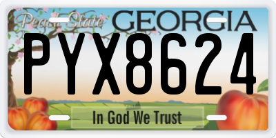 GA license plate PYX8624