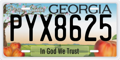 GA license plate PYX8625