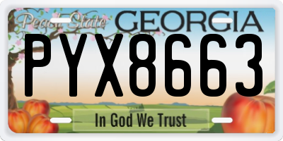 GA license plate PYX8663
