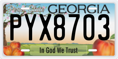 GA license plate PYX8703