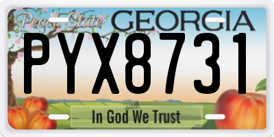GA license plate PYX8731