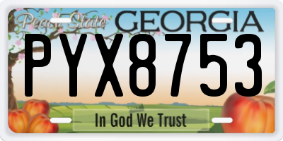 GA license plate PYX8753