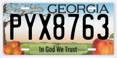 GA license plate PYX8763