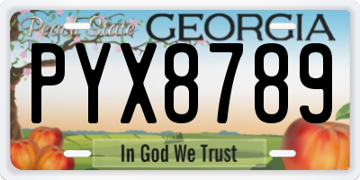 GA license plate PYX8789