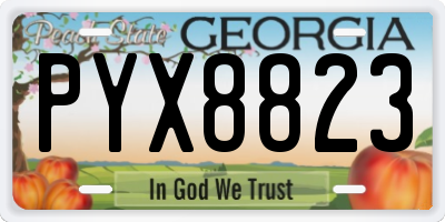 GA license plate PYX8823