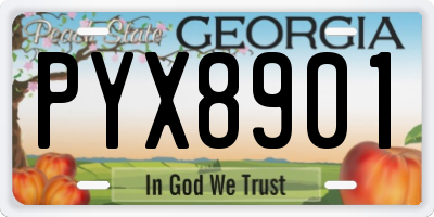 GA license plate PYX8901