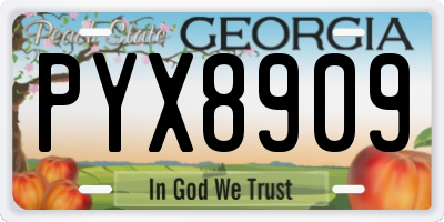 GA license plate PYX8909