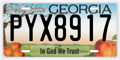 GA license plate PYX8917