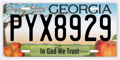 GA license plate PYX8929