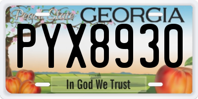 GA license plate PYX8930