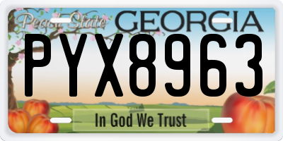 GA license plate PYX8963