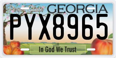 GA license plate PYX8965