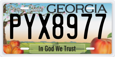 GA license plate PYX8977