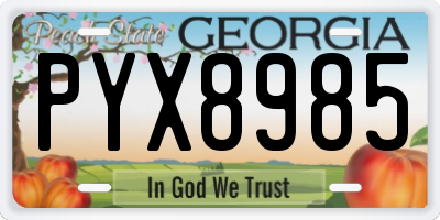 GA license plate PYX8985