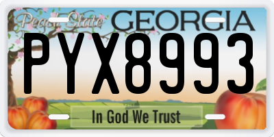 GA license plate PYX8993