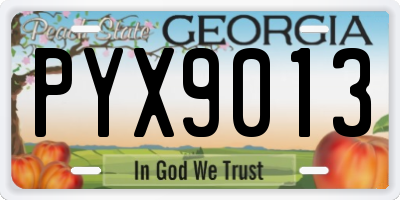 GA license plate PYX9013