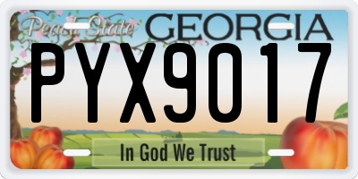 GA license plate PYX9017