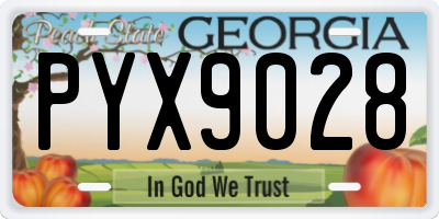 GA license plate PYX9028