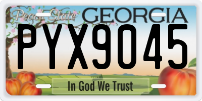 GA license plate PYX9045