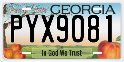 GA license plate PYX9081