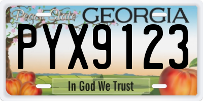 GA license plate PYX9123