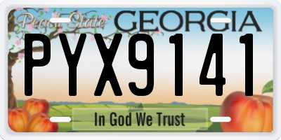 GA license plate PYX9141
