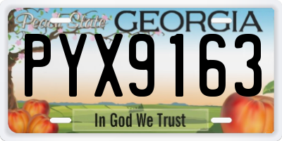 GA license plate PYX9163